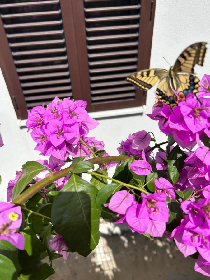 Garden Apartment Dina With Free Parking Split Zewnętrze zdjęcie